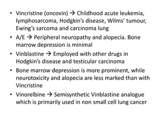 • Vincristine (oncovin)  Childhood acute leukemia,
lymphosarcoma, Hodgkin’s disease, Wilms’ tumour,
Ewing’s sarcoma and carcinoma lung
• A/E  Peripheral neuropathy and alopecia. Bone
marrow depression is minimal
• Vinblastine  Employed with other drugs in
Hodgkin’s disease and testicular carcinoma
• Bone marrow depression is more prominent, while
neurotoxicity and alopecia are less marked than with
Vincristine
• Vinorelbine  Semisynthetic Vinblastine analogue
which is primarily used in non small cell lung cancer
 