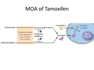 MOA of Tamoxifen
 
