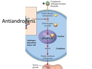 Antiandrogens
 