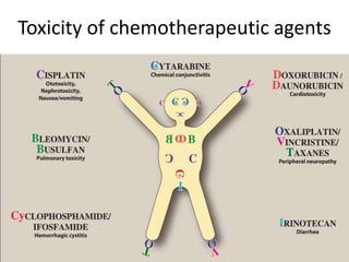 Toxicity of chemotherapeutic agents
 