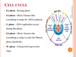 Anti cancer drugs | PPTX