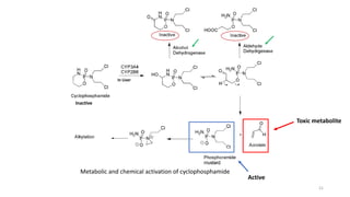 Metabolic and chemical activation of cyclophosphamide
Toxic metabolite
Active
Inactive
In Liver
21
 