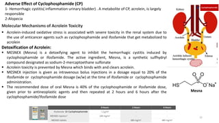 Molecular Mechanisms of Acrolein Toxicity
▪ Acrolein-induced oxidative stress is associated with severe toxicity in the renal system due to
the use of anticancer agents such as cyclophosphamide and ifosfamide that get metabolized to
acrolein
Detoxification of Acrolein:
▪ MESNEX (Mesna) is a detoxifying agent to inhibit the hemorrhagic cystitis induced by
cyclophosphamide or ifosfamide. The active ingredient, Mesna, is a synthetic sulfhydryl
compound designated as sodium-2-mercaptoethane sulfonate
▪ Acrolein toxicity is prevented by Mesna which binds with and clears acrolein.
▪ MESNEX injection is given as intravenous bolus injections in a dosage equal to 20% of the
ifosfamide or cyclophosphamide dosage (w/w) at the time of ifosfamide or cyclophosphamide
administration.
▪ The recommended dose of oral Mesna is 40% of the cyclophosphamide or ifosfamide dose,
given prior to antineoplastic agents and then repeated at 2 hours and 6 hours after the
cyclophosphamide/ifosfamide dose
Adverse Effect of Cyclophosphamide (CP)
1- Hemorrhagic cystitis( inflammation urinary bladder) . A metabolite of CP, acrolein, is largely
responsible
2-Alopecia
Cyclophosphamide
Or Cyclophosphamide
Mesna
22
 
