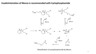 Coadministration of Mesna is recommended with Cyclophosphamide
Detoxification of cyclophosphamide by Mesna
23
 