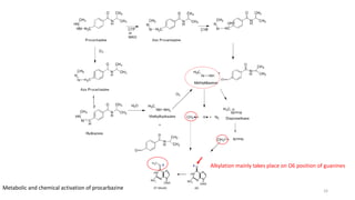 Metabolic and chemical activation of procarbazine
Alkylation mainly takes place on O6 position of guanines
33
 