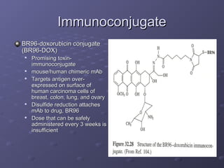 Immunoconjugate
Immunoconjugate
BR96-doxorubicin conjugate
BR96-doxorubicin conjugate
(BR96-DOX)
(BR96-DOX)

Promising toxin-
Promising toxin-
immunoconjugate
immunoconjugate

mouse/human chimeric mAb
mouse/human chimeric mAb

Targets antigen over-
Targets antigen over-
expressed on surface of
expressed on surface of
human carcinoma cells of
human carcinoma cells of
breast, colon, lung, and ovary
breast, colon, lung, and ovary

Disulfide reduction attaches
Disulfide reduction attaches
mAb to drug, BR96
mAb to drug, BR96

Dose that can be safely
Dose that can be safely
administered every 3 weeks is
administered every 3 weeks is
insufficient
insufficient
 