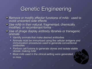 Genetic Engineering
Genetic Engineering
Remove or modify effector functions of mAb: used to
Remove or modify effector functions of mAb: used to
avoid unwanted side effects
avoid unwanted side effects
Use mAb in their natural, fragmented, chemically
Use mAb in their natural, fragmented, chemically
modified, or recombinant forms
modified, or recombinant forms
Use of phage display antibody libraries or transgenic
Use of phage display antibody libraries or transgenic
animals
animals

Identify animals that make desired antibodies
Identify animals that make desired antibodies

Animals must be immunized using the cellular antigens and
Animals must be immunized using the cellular antigens and
immunization procedures used to generate conventional
immunization procedures used to generate conventional
antibodies
antibodies

Perform cell fusions to generate clones and isolate stable
Perform cell fusions to generate clones and isolate stable
clones, making mAb
clones, making mAb

Most mAb used in the clinical setting were generated
Most mAb used in the clinical setting were generated
in mice
in mice
 