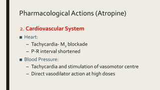 PharmacologicalActions (Atropine)
2. Cardiovascular System
■ Heart:
– Tachycardia- M2 blockade
– P-R interval shortened
■ Blood Pressure:
– Tachycardia and stimulation of vasomotor centre
– Direct vasodilator action at high doses
 