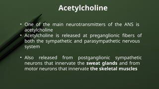 Acetylcholine
• One of the main neurotransmitters of the ANS is
acetylcholine
• Acetylcholine is released at preganglionic fibers of
both the sympathetic and parasympathetic nervous
system
• Also released from postganglionic sympathetic
neurons that innervate the sweat glands and from
motor neurons that innervate the skeletal muscles
 