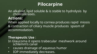 Pilocarpine
An alkaloid, lipid soluble & is stable to hydrolysis by
cholinsterases.
Actions:
When applied locally to cornea produces rapid miosis
& contraction of ciliary muscle produces spasm of
accommodation.
Therapeutic Use :
In Glaucoma it opens trabecular meshwork around
schlemm’s canal
• causes drainage of aqueous humor
• IOP immediately decreases.
 