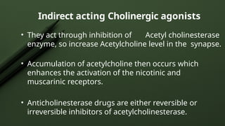 Indirect acting Cholinergic agonists
• They act through inhibition of Acetyl cholinesterase
enzyme, so increase Acetylcholine level in the synapse.
• Accumulation of acetylcholine then occurs which
enhances the activation of the nicotinic and
muscarinic receptors.
• Anticholinesterase drugs are either reversible or
irreversible inhibitors of acetylcholinesterase.
 