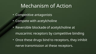 Mechanism of Action
• Competitive antagonists
• Compete with acetylcholine
• Reversible blockade of acetylcholine at
muscarinic receptors by competitive binding
• Once these drugs bind to receptors, they inhibit
nerve transmission at these receptors.
 