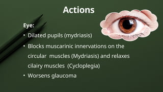 Actions
Eye:
• Dilated pupils (mydriasis)
• Blocks muscarinic innervations on the
circular muscles (Mydriasis) and relaxes
cilairy muscles (Cycloplegia)
• Worsens glaucoma
 