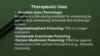 Therapeutic Uses
• Antidote Uses (Toxicology)
Atropine is a life-saving antidote for poisoning by
agents that excessively stimulate the cholinergic
system.
•Organophosphate Poisoning: This is a major
indication.
•Carbamate Insecticide Poisoning
•Certain Mushroom Poisoning: Effective against
mushrooms that contain muscarine (e.g., Amanita
muscaria).
 