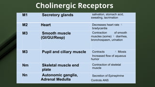 Cholinergic Receptors
M1 Secretory glands salivation, stomach acid,
sweating, lacrimation
M2 Heart Decreases heart rate 
bradycardia
M3 Smooth muscle
(GI/GU/Resp)
Contraction of smooth
muscles (some)  diarrhea,
bronchospasm, urination
M3 Pupil and ciliary muscle Contracts  Miosis
Increased flow of aqueous
humor
Nm Skeletal muscle end
plate
Contraction of skeletal
muscle
Nn Autonomic ganglia,
Adrenal Medulla
Secretion of Epinephrine
Controls ANS
 