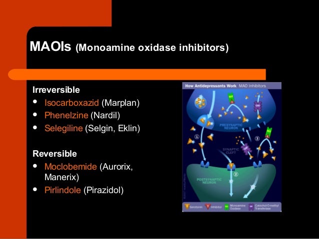 Maoi drugs selegiline