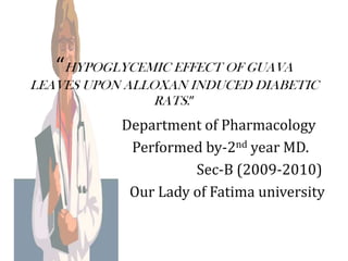 “HYPOGLYCEMIC EFFECT OF GUAVA LEAVES UPON ALLOXAN INDUCED DIABETIC RATS.” Department of Pharmacology  Performed by-2ndyear MD. Sec-B (2009-2010) Our Lady of Fatima university 