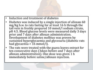 Anti diabectic effect of guava leaves upon alloxan | PPTX