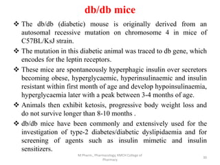 ANIMAL MODELS FOR BIOLOGICAL SCREENING OF ANTI-DIABETIC DRUGS | PPTX
