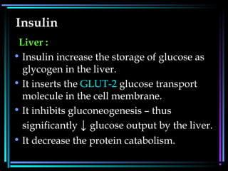 Insulin
Liver :
• Insulin increase the storage of glucose as
glycogen in the liver.
• It inserts the GLUT-2 glucose transport
molecule in the cell membrane.
• It inhibits gluconeogenesis – thus
significantly ↓ glucose output by the liver.
• It decrease the protein catabolism.
 