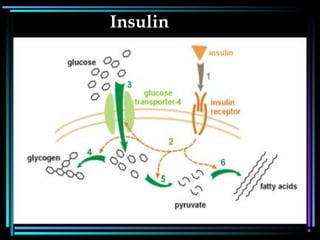 Insulin
 