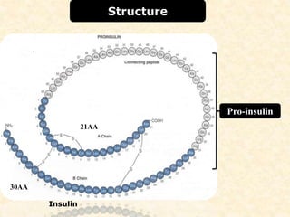 Structure
Pro-insulin
21AA
30AA
Insulin
 