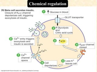 Chemical regulation
 