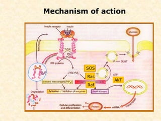 Mechanism of action
AkT
Shc
Grb2SOS
Ras
Raf
 