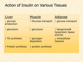 Liver Muscle Adipose
↓ glucose
production
↑ Glucose transport ↑ glucose transport
↑ glycolysis ↑ glycolysis ↑ lipogenesis&
lipoprotein lipase
activity
↑ TG synthesis ↑ glycogen
deposition
↓ intracellular
lipolysis
↑ Protein synthesis ↑ protein synthesis
 