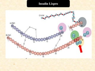  First recommended DNA analogue,approved by FDA in 1996
 Modification – inversion of proline at position B28 with lysine at B29
Advantage –
1.Block the formation of insulin dimer and hexamer thus allows large
numbers of monomeric insulin to be available for postprandial
injection
2.More flexibility and convenience
3.Better reduction in PPG and HbA1c
4.Less chances of hypoglycemia
5.Better PK and PD properties irrespective of site of injection
6. Less immunogenic
24
Insulin Lispro
 