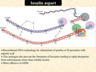Insulin aspart
Recombinant DNA technology by substitution of proline at 28 posistion with
aspartic acid
This analogue also prevent the formation of hexamer leading to rapid absorption
from subcutaneous tissue than soluble insulin
More effective in GDM
 