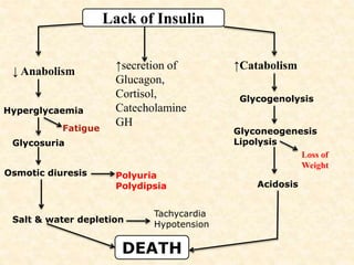 Lack of Insulin
↓ Anabolism ↑Catabolism↑secretion of
Glucagon,
Cortisol,
Catecholamine
GH
Hyperglycaemia
Glycosuria
Osmotic diuresis
Fatigue
Polyuria
Polydipsia
Salt & water depletion
Tachycardia
Hypotension
Glycogenolysis
Glyconeogenesis
Lipolysis
Loss of
Weight
Acidosis
DEATH
 