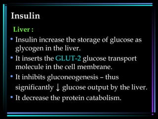 Insulin
Liver :
• Insulin increase the storage of glucose as
glycogen in the liver.
• It inserts the GLUT-2 glucose transport
molecule in the cell membrane.
• It inhibits gluconeogenesis – thus
significantly ↓ glucose output by the liver.
• It decrease the protein catabolism.
 