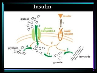 Insulin
 