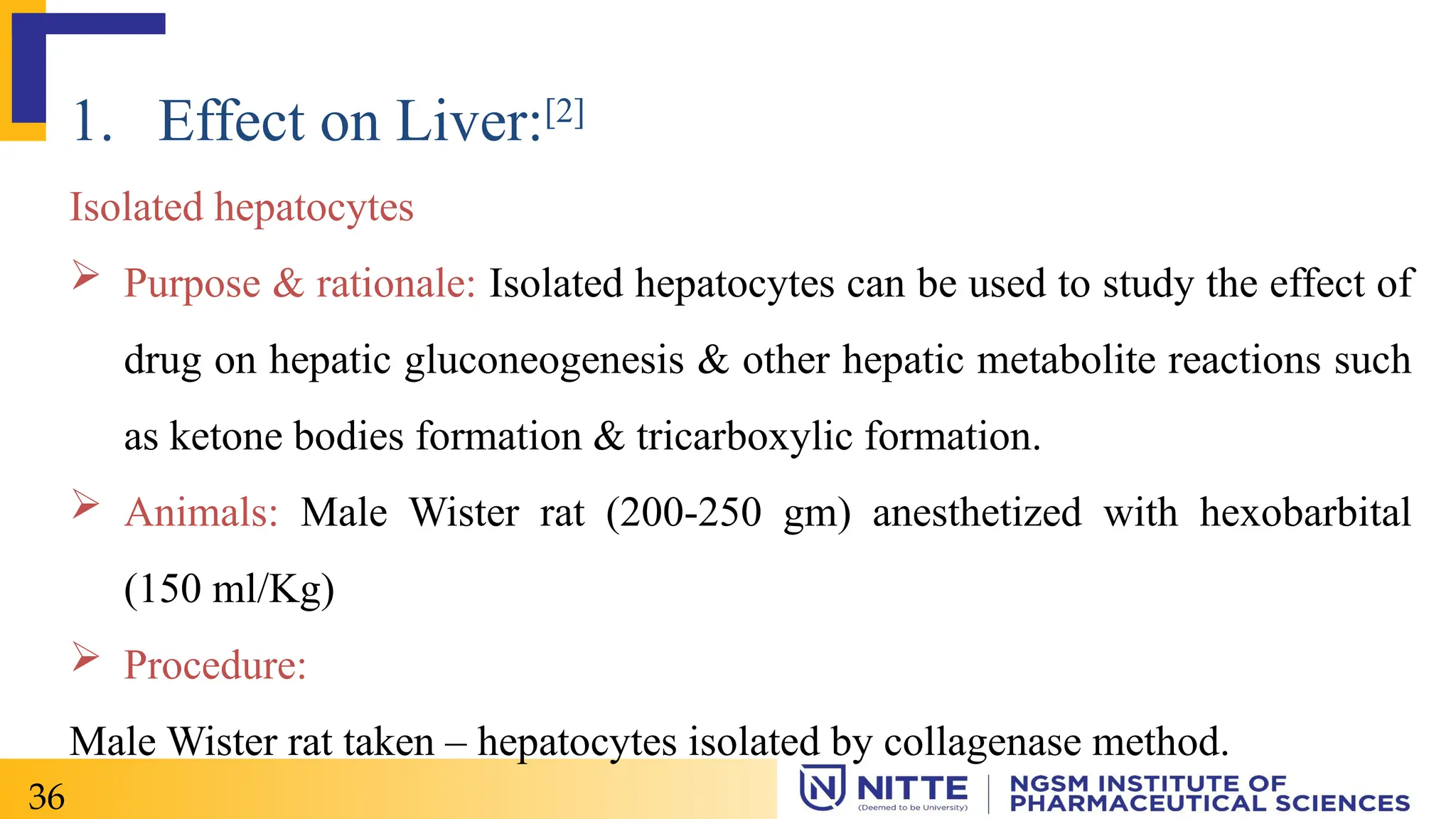 1. Effect on Liver:[2]
Isolated hepatocytes
 Purpose & rationale: Isolated hepatocytes can be used to study the effect of
drug on hepatic gluconeogenesis & other hepatic metabolite reactions such
as ketone bodies formation & tricarboxylic formation.
 Animals: Male Wister rat (200-250 gm) anesthetized with hexobarbital
(150 ml/Kg)
 Procedure:
Male Wister rat taken – hepatocytes isolated by collagenase method.
36
 