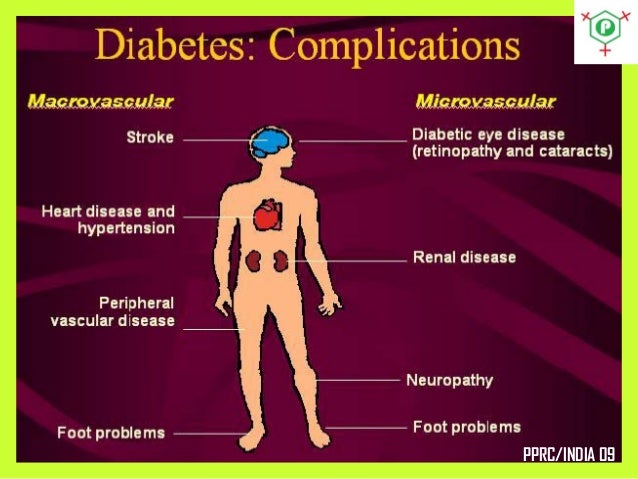 Antidiabetic phytodrugs Antidiabetic phytodrugs