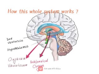 How this whole system works ?
 