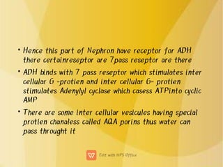 •
•
•
Hence this part of Nephron have receptor for ADH
there certainreseptor are 7pass reseptor are there
ADH binds with 7 pass reseptor which stimulates inter
cellular G -protien and inter cellular G- protien
stimulates Adenylyl cyclase which casess ATPinto cyclic
AMP
There are some inter cellular vesicules having special
protien chanaless called AQA porins thus water can
pass throught it
 