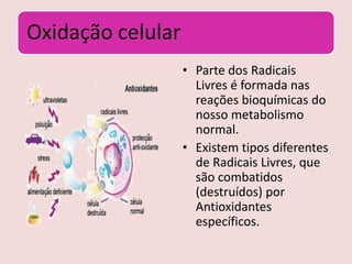 Insônia e distúrbios do sono