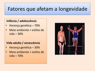 Meio ambiente + estilos de vida – 30%Vida adulta / senescênciaHerança genética – 30%