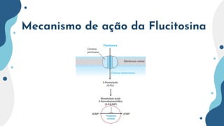 Mecanismo de ação da Flucitosina
 