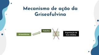 Mecanismo de ação da
Griseofulvina
 