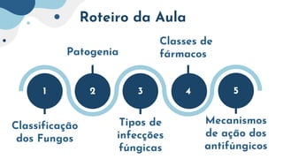 Roteiro da Aula
Classificação
dos Fungos
Patogenia
Tipos de
infecções
fúngicas
1 2 3 4
Classes de
fármacos
5
Mecanismos
de ação dos
antifúngicos
 
