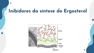Inibidores da síntese do Ergosterol
 