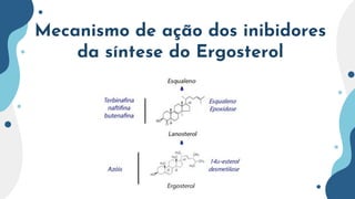 Mecanismo de ação dos inibidores
da síntese do Ergosterol
 