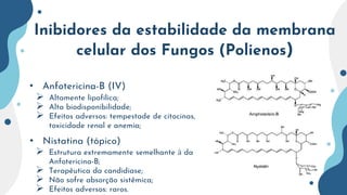Inibidores da estabilidade da membrana
celular dos Fungos (Polienos)
• Anfotericina-B (IV)
• Nistatina (tópico)
 Estrutura extremamente semelhante à da
Anfotericina-B;
 Terapêutica da candidíase;
 Não sofre absorção sistêmica;
 Efeitos adversos: raros.
 Altamente lipofílica;
 Alta biodisponibilidade;
 Efeitos adversos: tempestade de citocinas,
toxicidade renal e anemia;
 