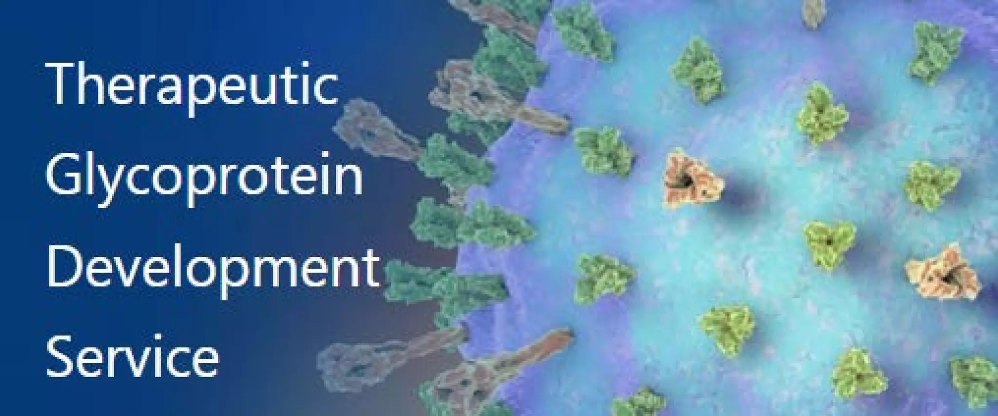 AntiGlycoprotein Antibody Development PPT