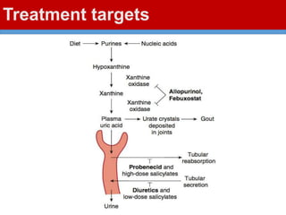 Treatment targets
 