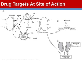 Drug Targets At Site of Action
 