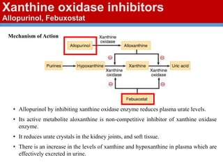 Xanthine oxidase inhibitors
Allopurinol, Febuxostat
Mechanism of Action
• Allopurinol by inhibiting xanthine oxidase enzyme reduces plasma urate levels.
• Its active metabolite aloxanthine is non-competitive inhibitor of xanthine oxidase
enzyme.
• It reduces urate crystals in the kidney joints, and soft tissue.
• There is an increase in the levels of xanthine and hypoxanthine in plasma which are
effectively excreted in urine.
 